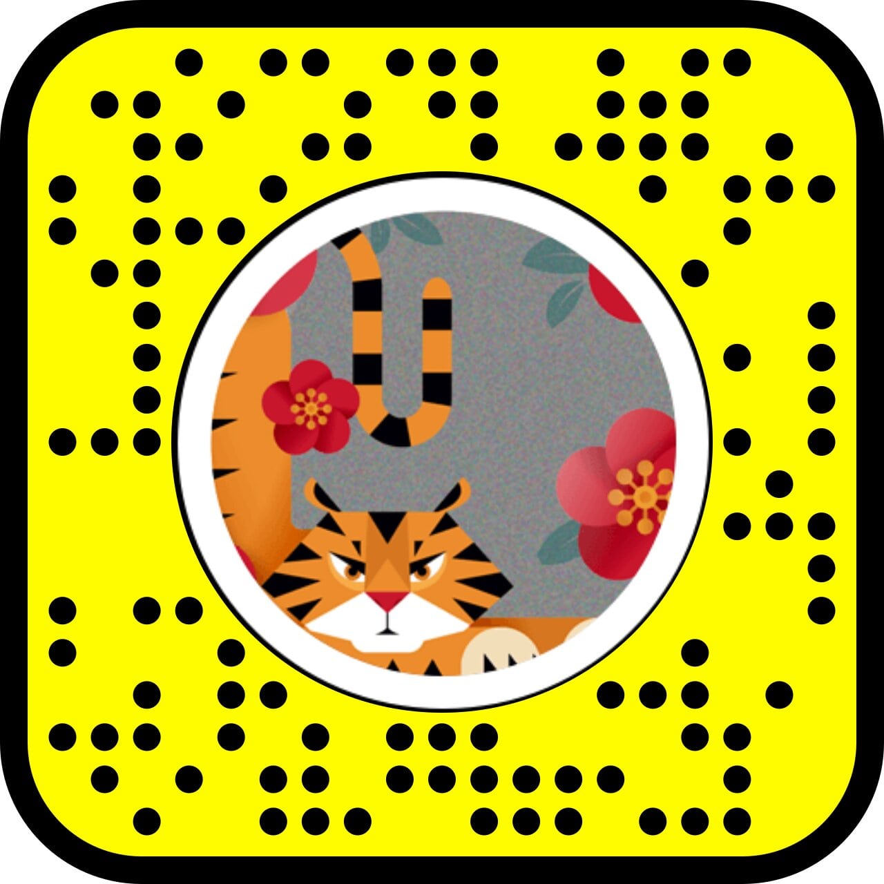 Tiger Frames Lens