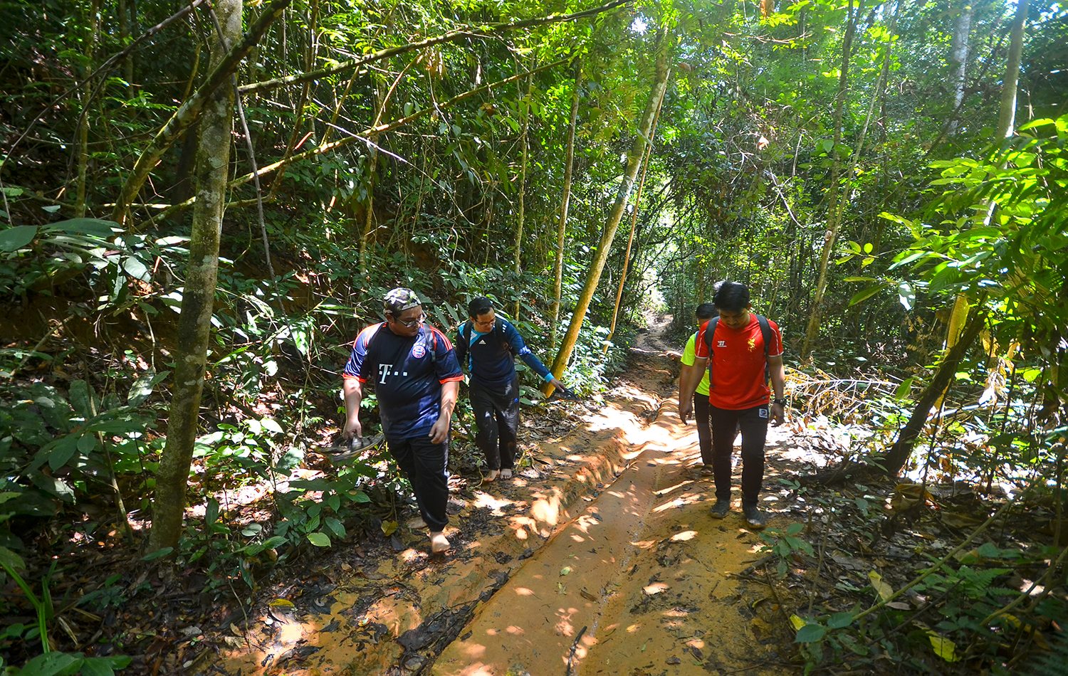 Jungle Trekking / Nature Walk