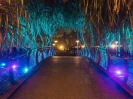 NORDIC LIGHTS ILLUMINATE PARKCITY YEAR-END LIGHT FESTIVAL