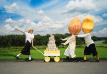 Introducing NOBO Soy: A New Chapter for Soy Milk