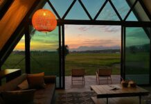 Airbnb Data Signals Rise In Domestic Travel As Malaysians Search Closer To Home Airbnb stay overlooking Langkawi rice fields, used to illustrate domestic travel trends among Malaysians