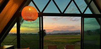Airbnb Data Signals Rise In Domestic Travel As Malaysians Search Closer To Home Airbnb stay overlooking Langkawi rice fields, used to illustrate domestic travel trends among Malaysians