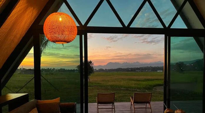 Airbnb Data Signals Rise In Domestic Travel As Malaysians Search Closer To Home Airbnb stay overlooking Langkawi rice fields, used to illustrate domestic travel trends among Malaysians