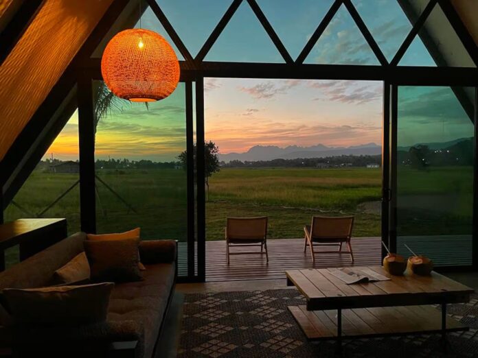 Airbnb stay overlooking Langkawi rice fields, used to illustrate domestic travel trends among Malaysians