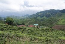 Port Dickson, Kuala Terengganu and Cameron Highlands see rising family travel interest this school holiday, according to Agoda