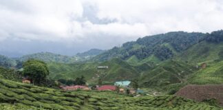 Port Dickson, Kuala Terengganu and Cameron Highlands see rising family travel interest this school holiday, according to Agoda
